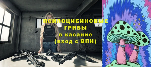 стаф Баксан
