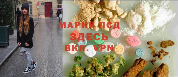 стаф Баксан