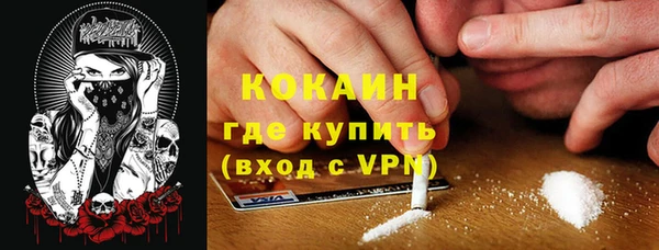 стаф Баксан