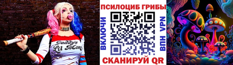 Галлюциногенные грибы Psilocybe  Барабинск 